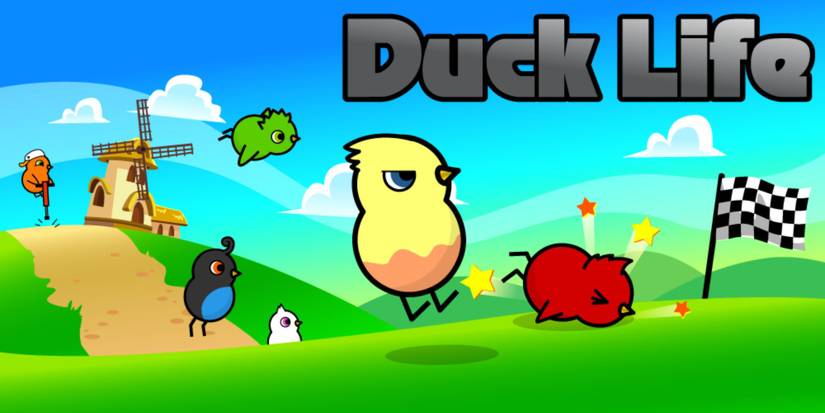 duck life image, multicoloured ducks running in a race