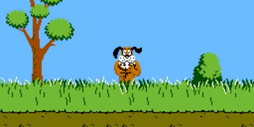 Duck Hunt dog laughing