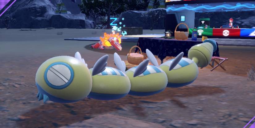 Dudunsparce near a Pokemon Camp