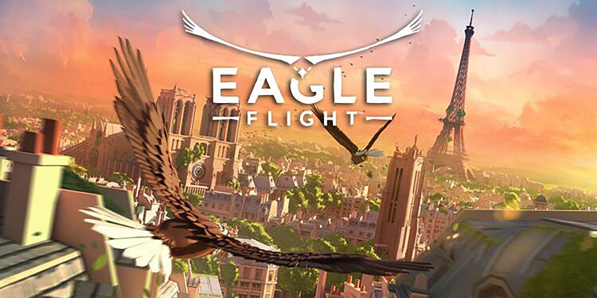 Eagle Flight