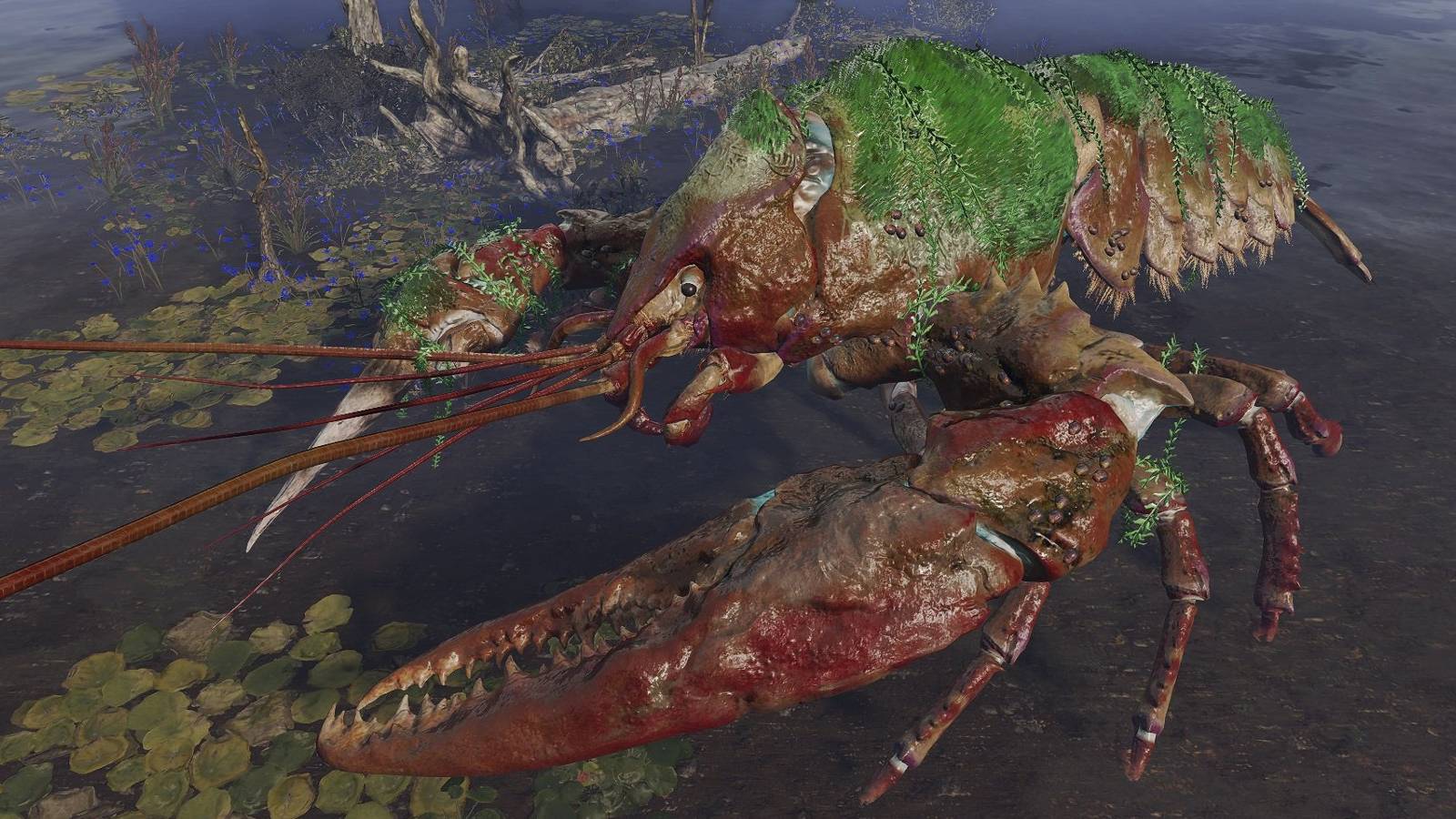 lobster-most-dangerous-enemy