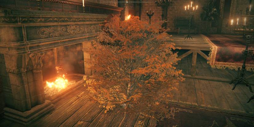 player-disguised-as-tree