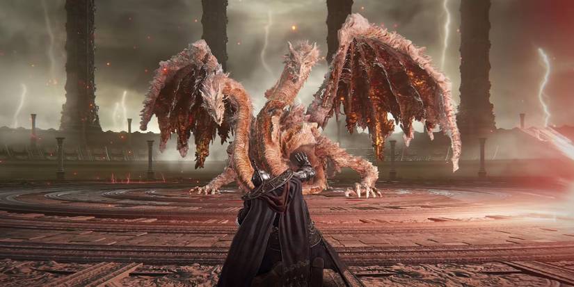 elden ring user sheds dragonlord placidusax with spell
