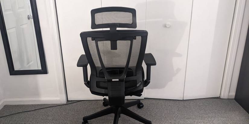 ErgoChair Pro Back