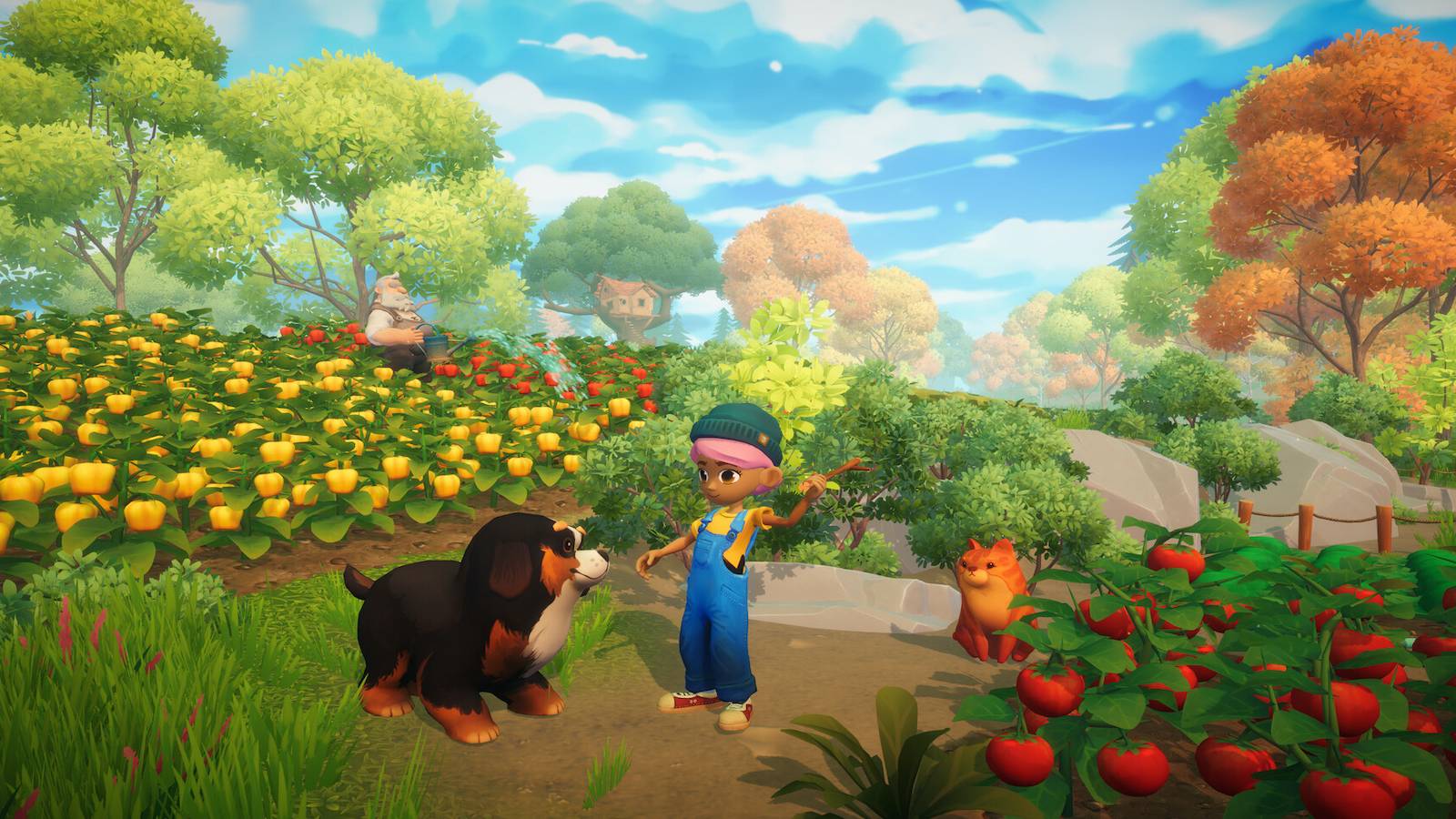 EVERDREAM VALLEY COVER