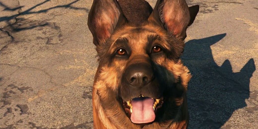 Dogmeat from Fallout 4 smiling