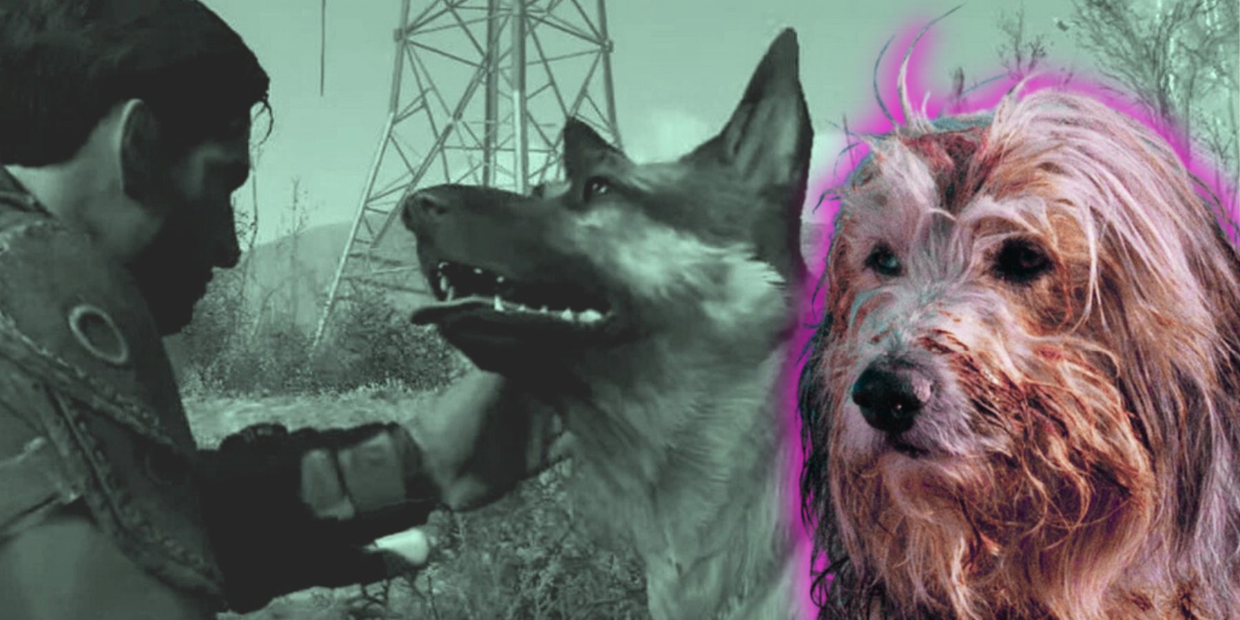 The Fallout How Spotemgottems Arrest Affected His Fans - ah2vxsn