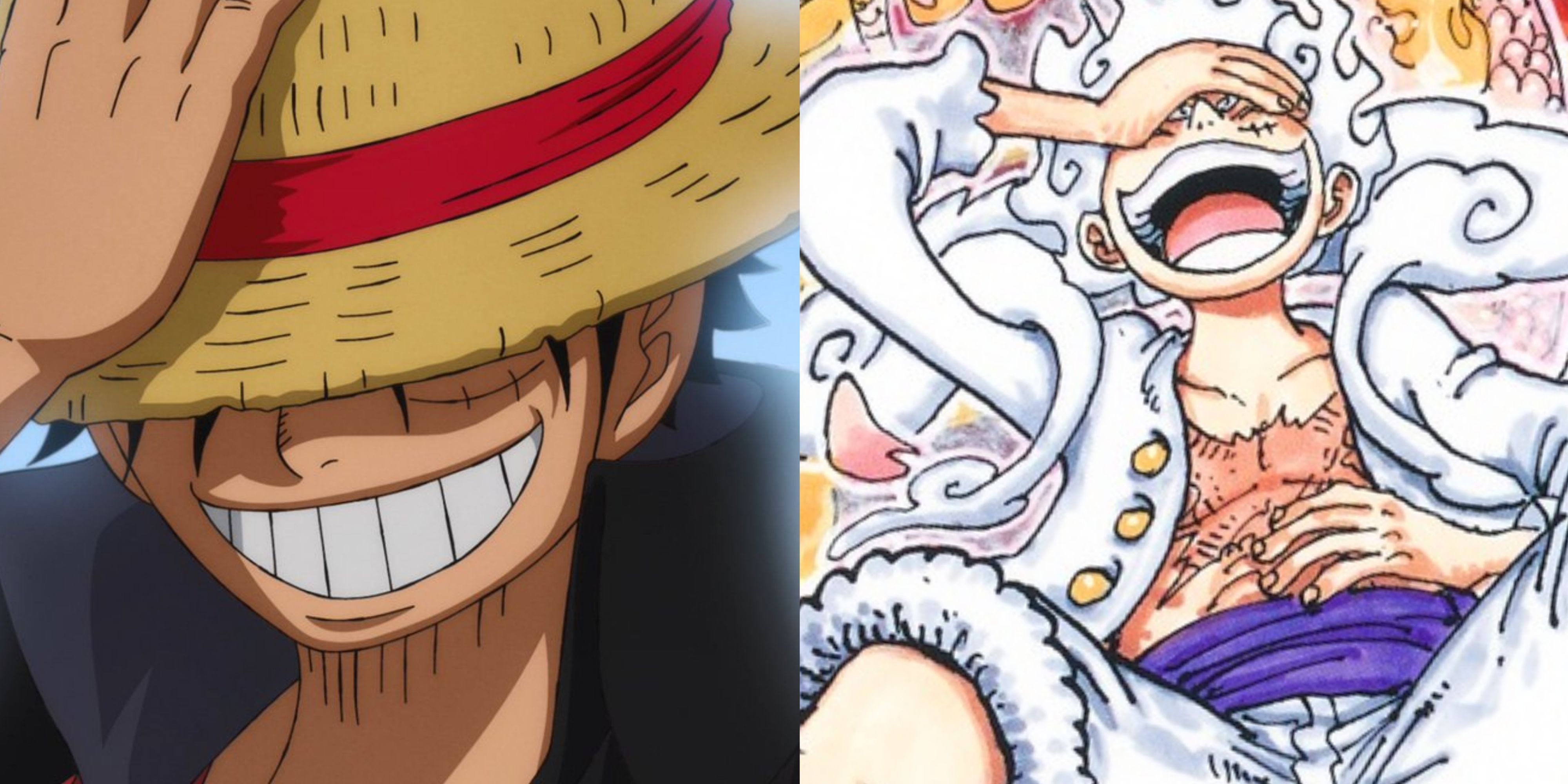 Characters • One Piece Pirateking