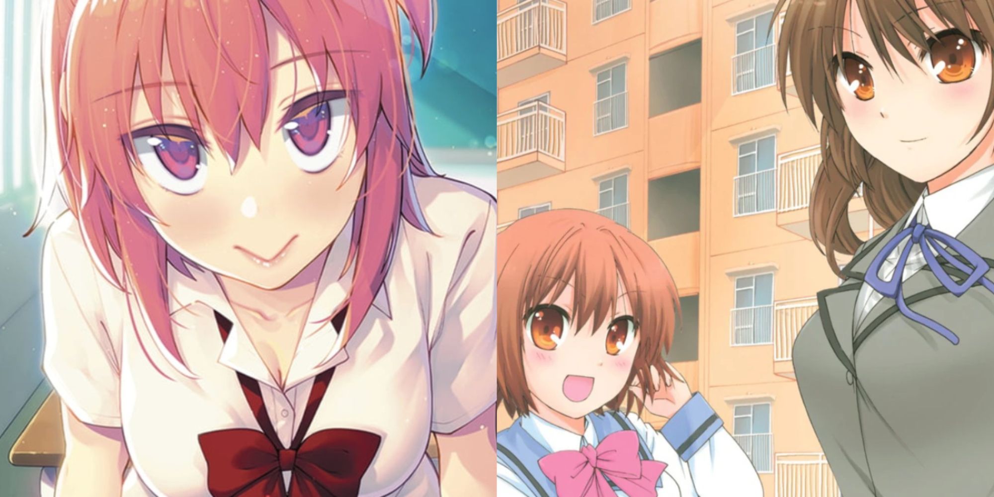 Romance (slice of life / school) animes