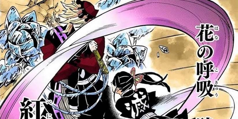 Flower Breathing's Fourth Form - Crimson Hanagoromo in Demon Slayer Cropped