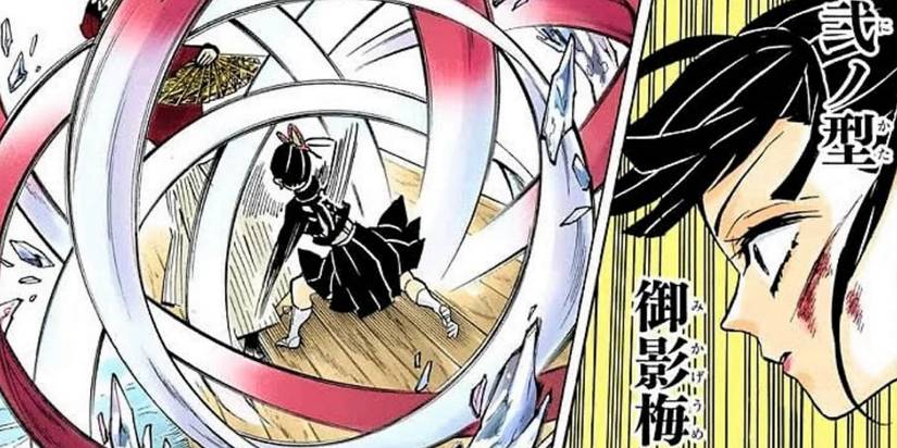 Flower Breathing's Second Form - Honorable Shadow Plum in Demon Slayer Cropped