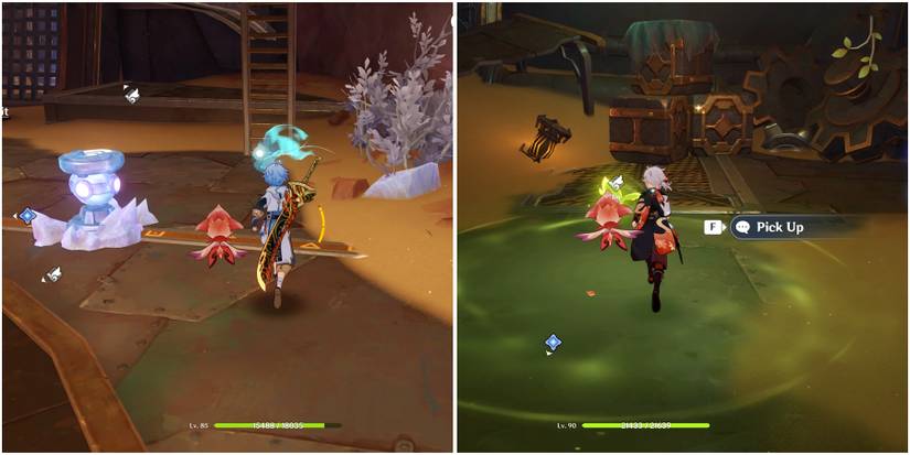 following the  seelie in genshin impact