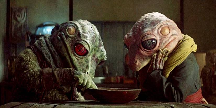 Frog Lady and her husband