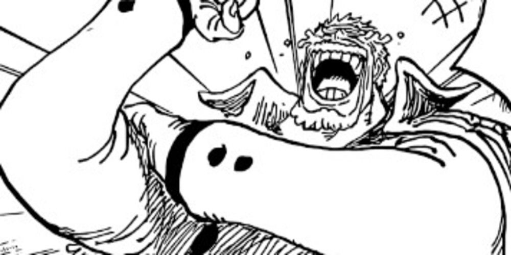 garp one piece chapter 1080