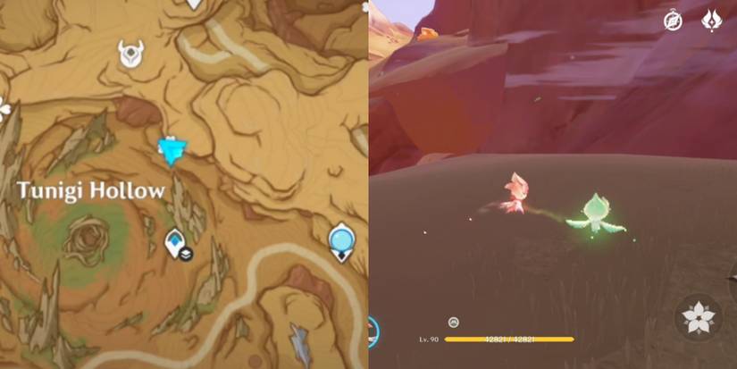 Genshin Impact fravashi tree location 9