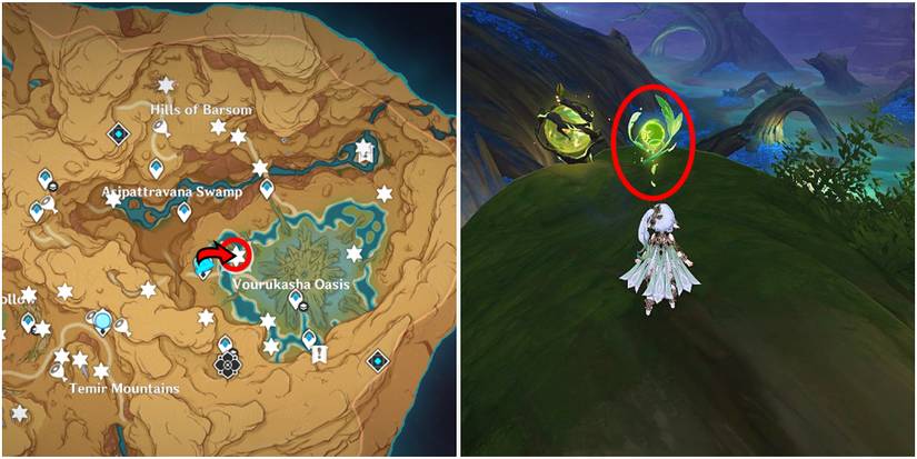 genshin impact gavireh lajavard and realm of farakhkert dendroculus location 28