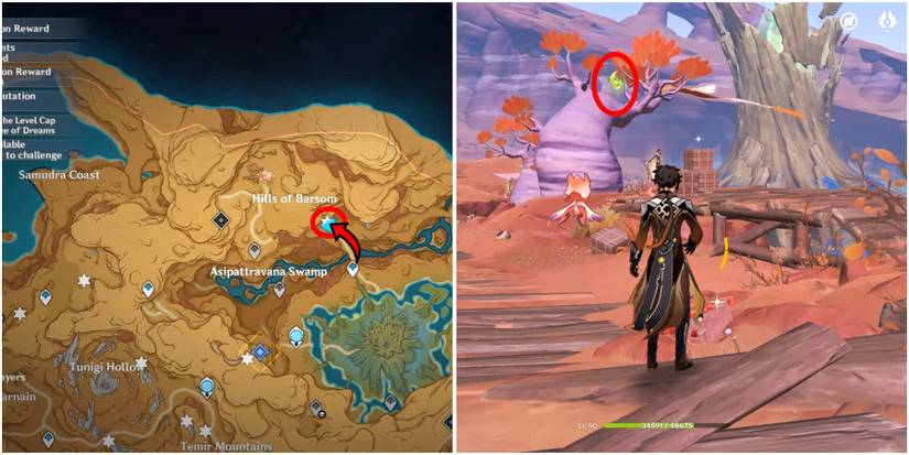 genshin impact gavireh lajavard and realm of farakhkert dendroculus location 31