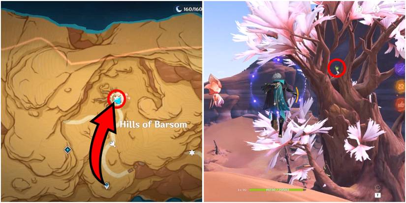 genshin impact gavireh lajavard and realm of farakhkert dendroculus location 33