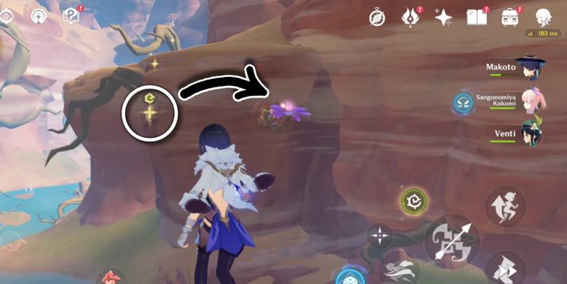 Genshin Impact udumbara pistil location 5