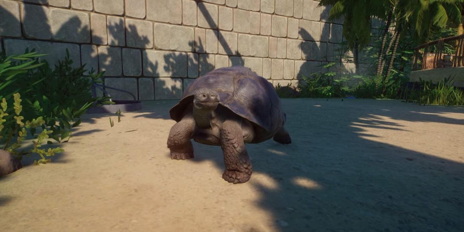 Planet Zoo Giant Tortoise