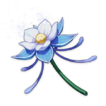 Glaze Lily Genshin Impact