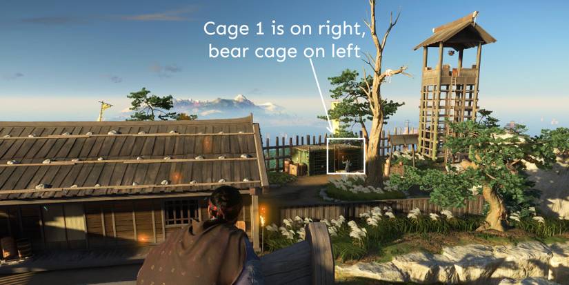 GoT-Iron-Hook-Cage-1