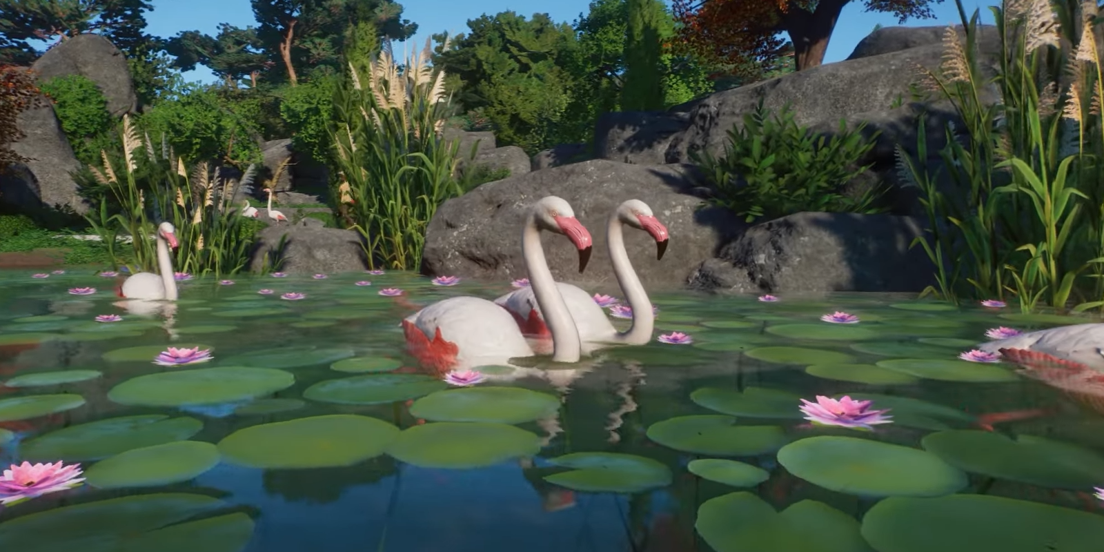 Planet Zoo Greater Flamingo