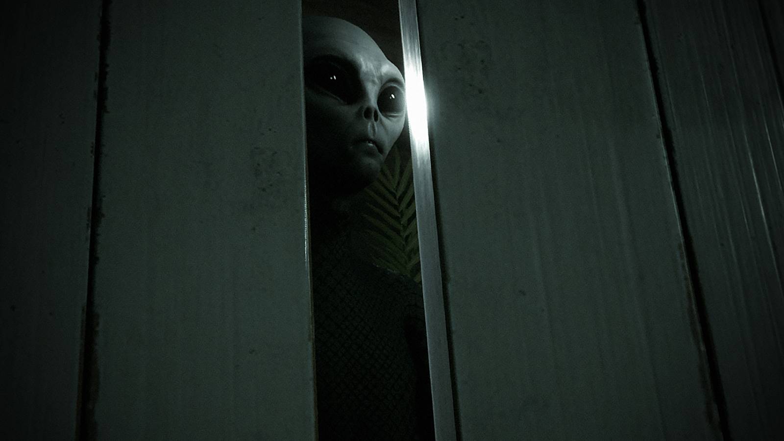 Greyhill-Incident-alien-peeking-through-door