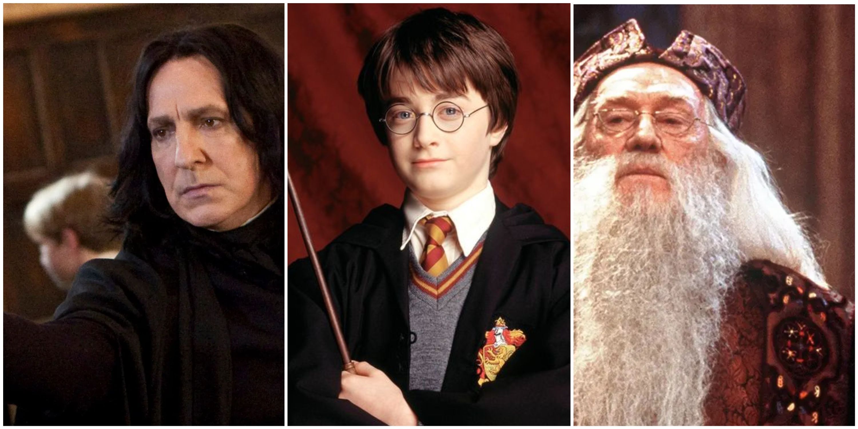 Best Harry Potter Casting Choices