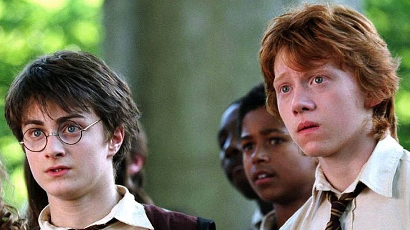 Harry Potter TV Series Reboot