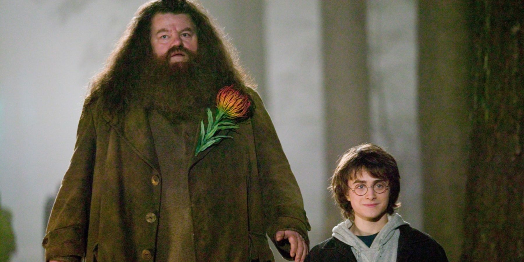 Hagrid and Harry Potter in Harry Potter