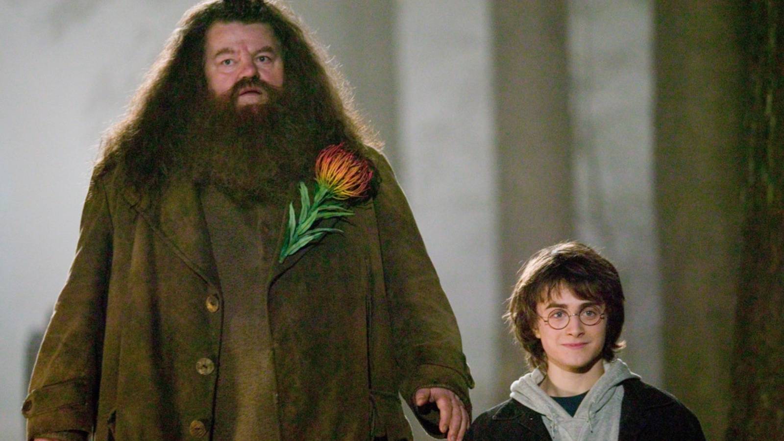 Hagrid and Harry Potter in Harry Potter