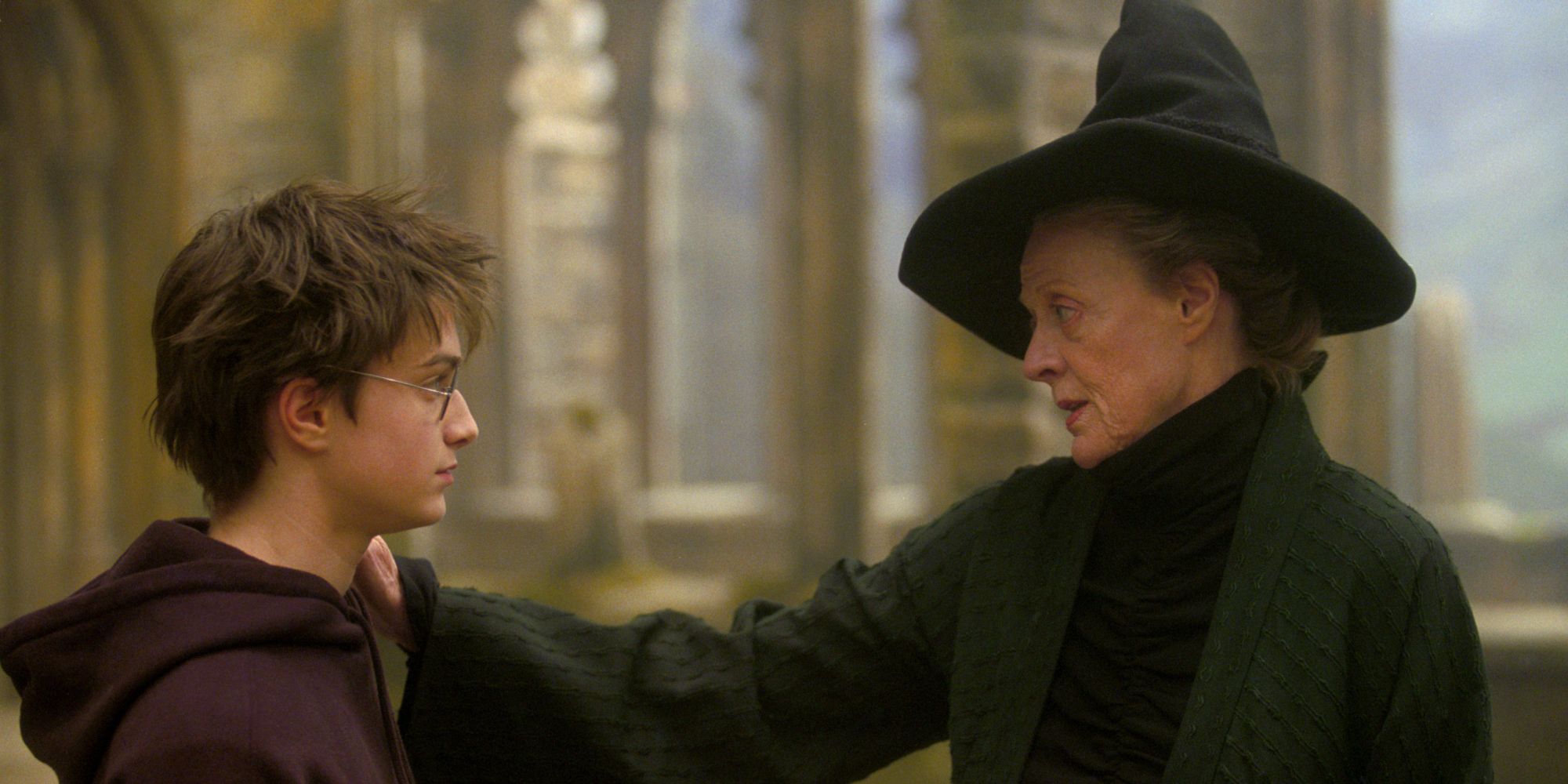 Harry Potter McGonagall