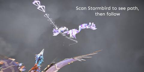 HBS-Aerial-Dark-Clouds-Bird-Flight-Path