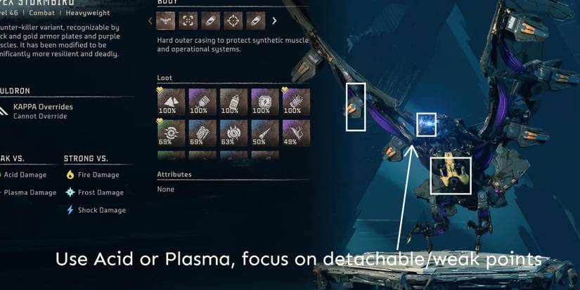 HBS-Aerial-West-Stormbird-Info