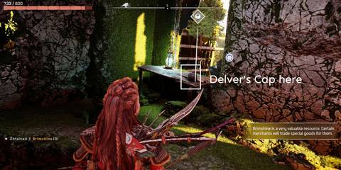 HBS-Delver-Delvers-Cap