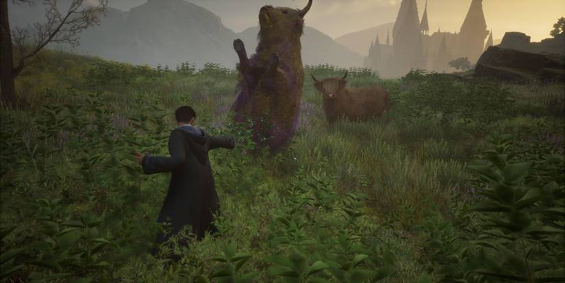 Hogwarts Legacy Spilled Milk Achievement Cow