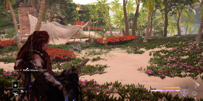 horizon-forbidden-west-all-devotee-outposts4