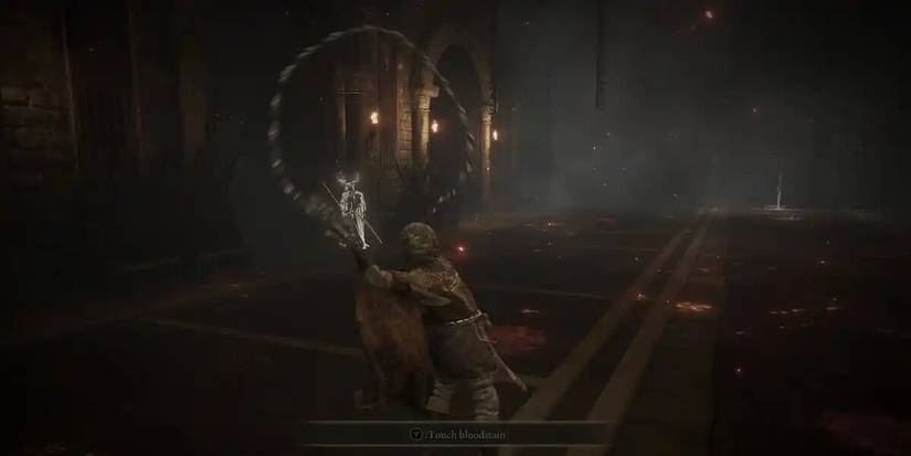 elden ring hoslows petal whip