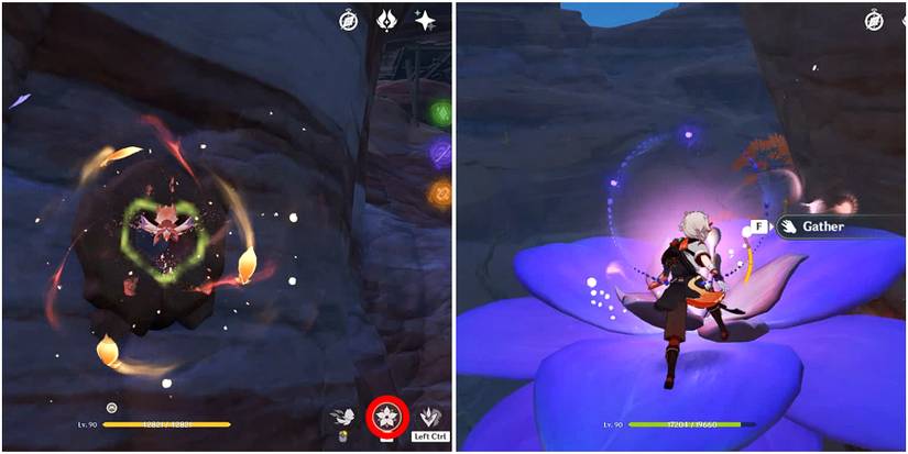 how to bloom the udumbara in genshin impact