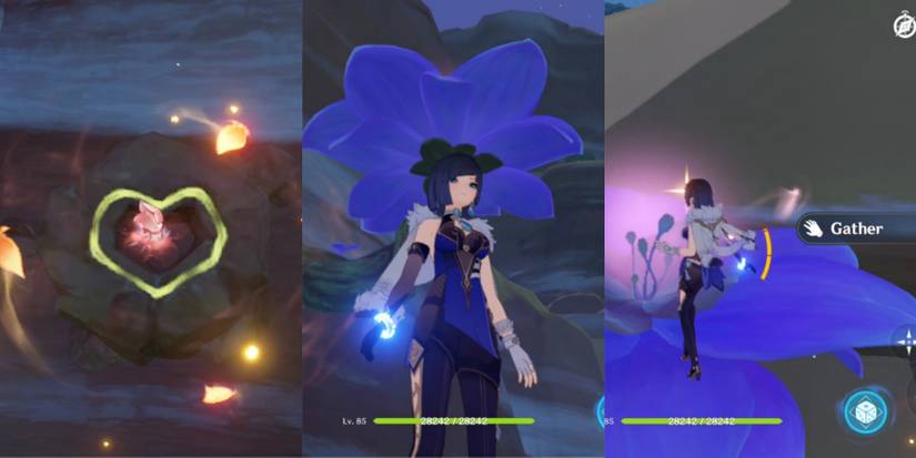 how to collect udumbara in Genshin Impact