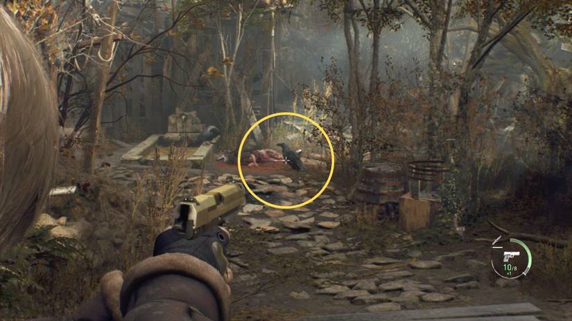 image showing how to hunt crows to make more money in re4 remake. 
