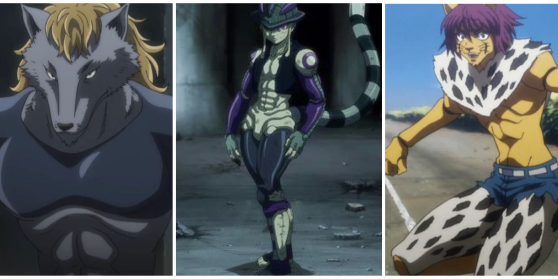 Strongest Chimera Ants In Hunter x Hunter