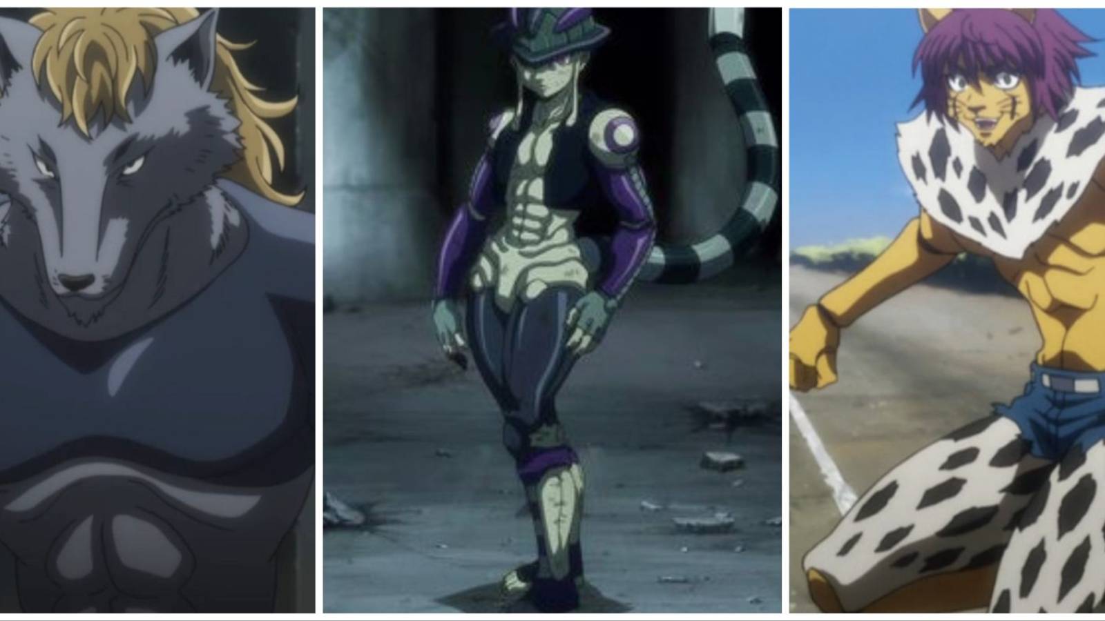 Hunter x Hunter Best Chimera Ants