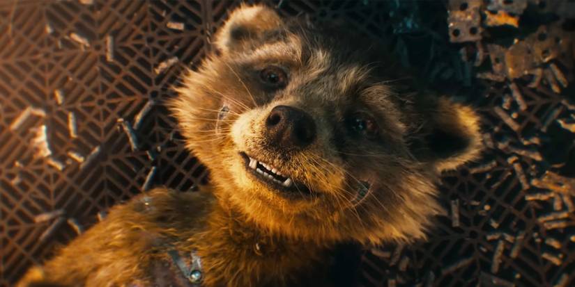 James Gunn Rocket Raccoon Guardians of the Galaxy 3