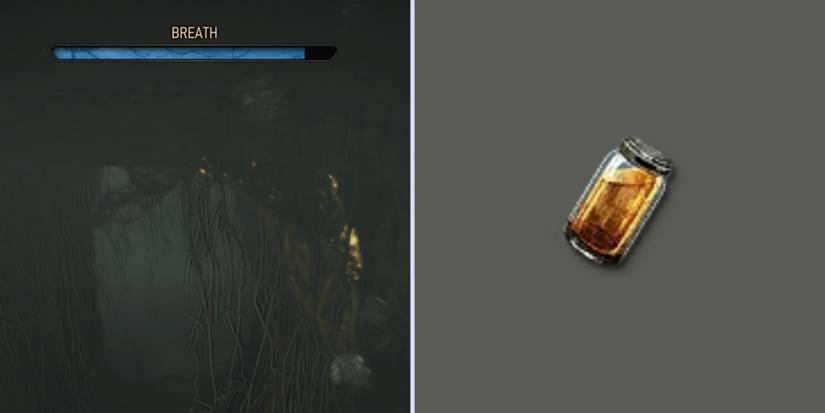 Killer Whale Witcher 3