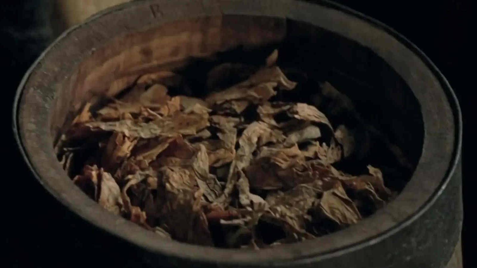 what is a tobacco plant Virginia Brightleaf Tobacco Seeds - Huge selection! Many different varieties of tobacco leaf seeds for sale