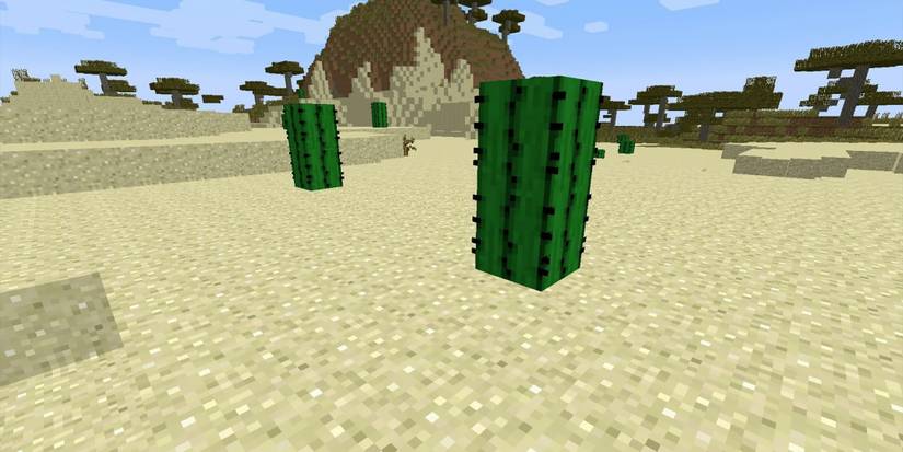 Minecraft Cactus