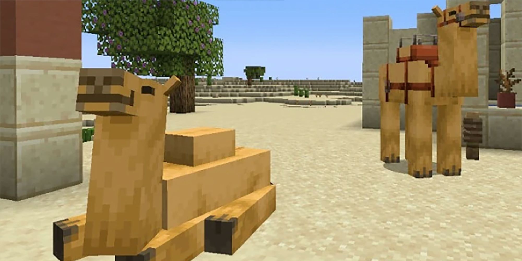 Minecraft Camels Relaxing