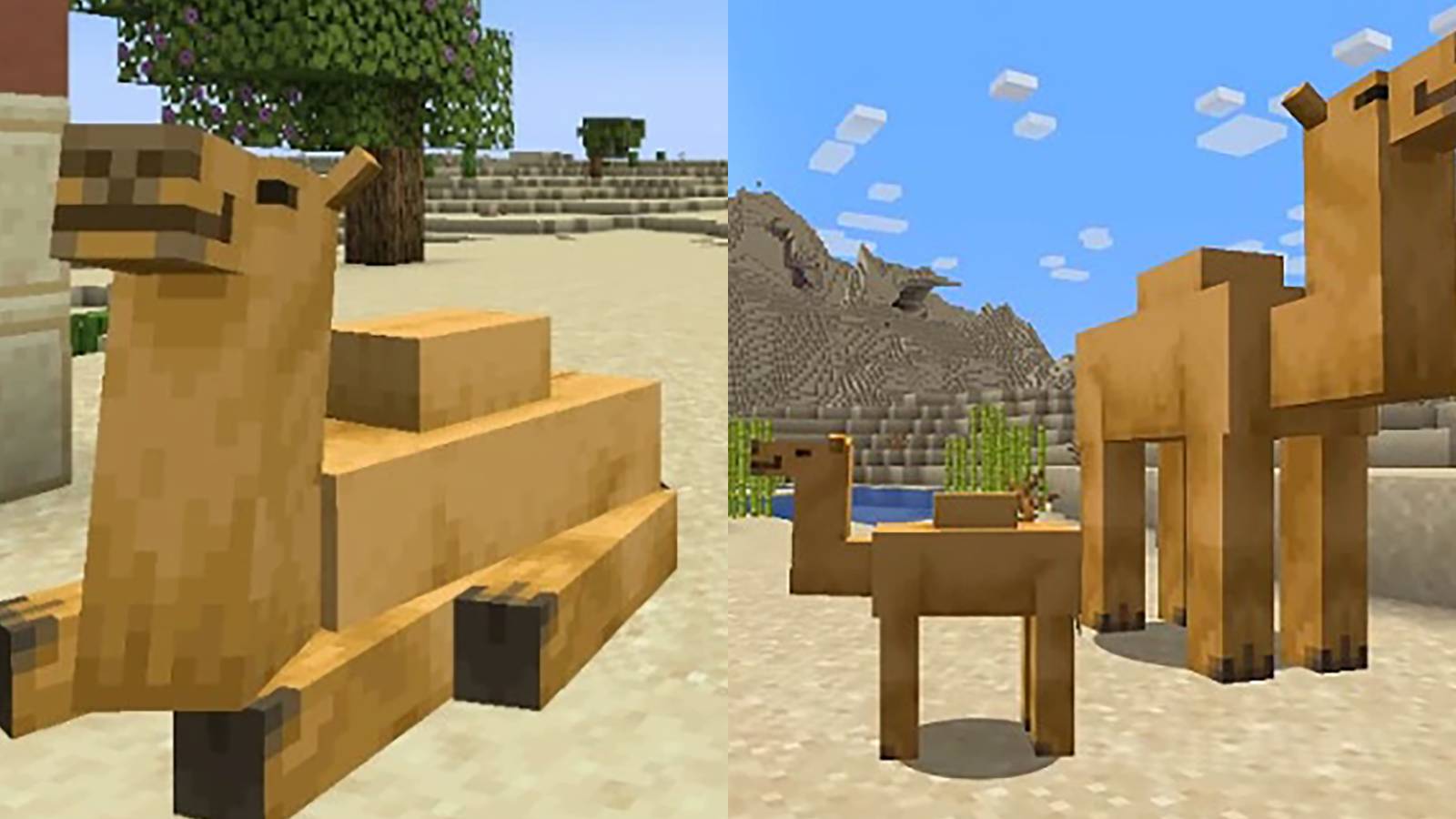Minecraft Camels